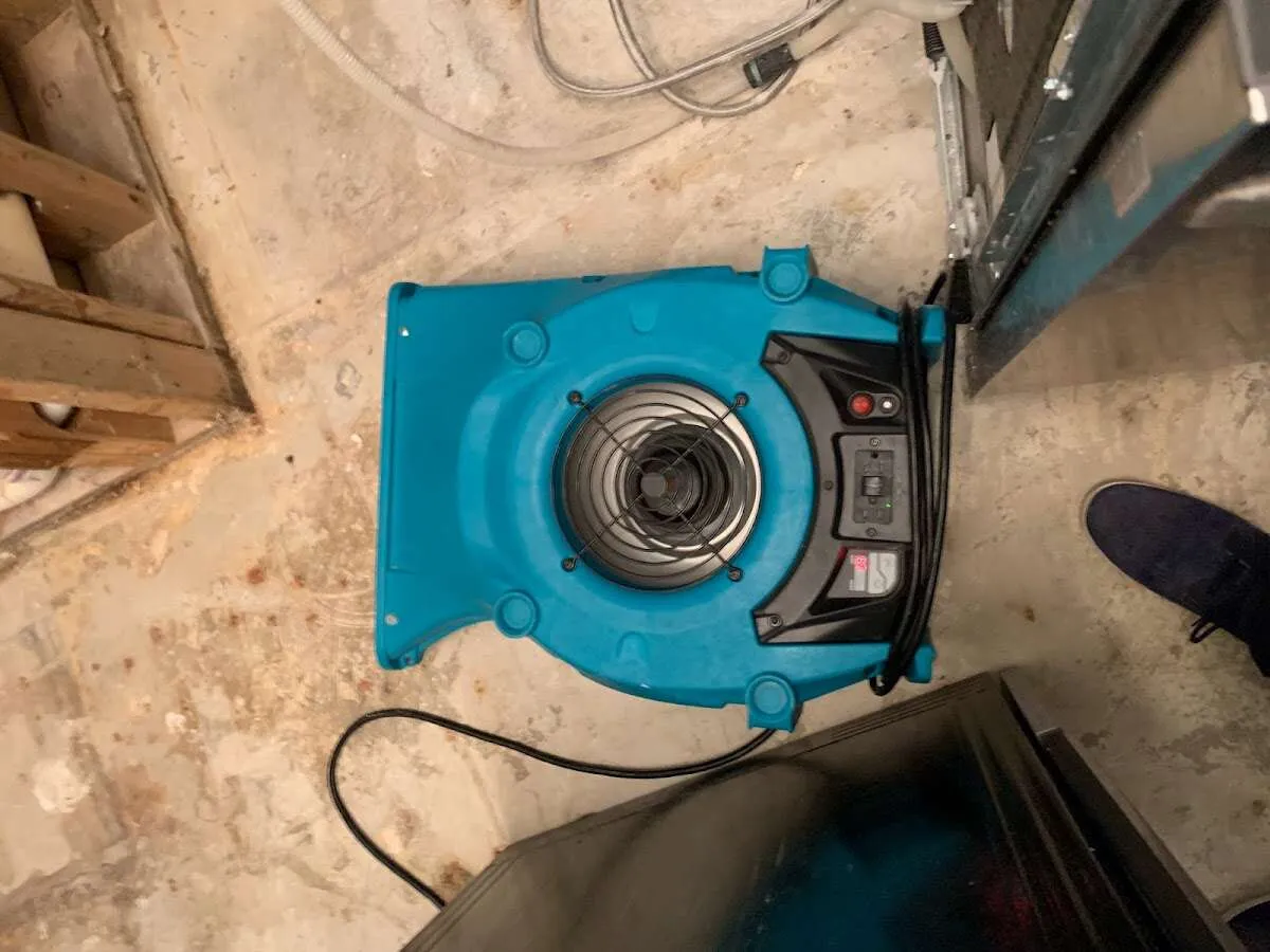 Air mover drying equipment for Mold Remediation & Removal in North Huntingdon